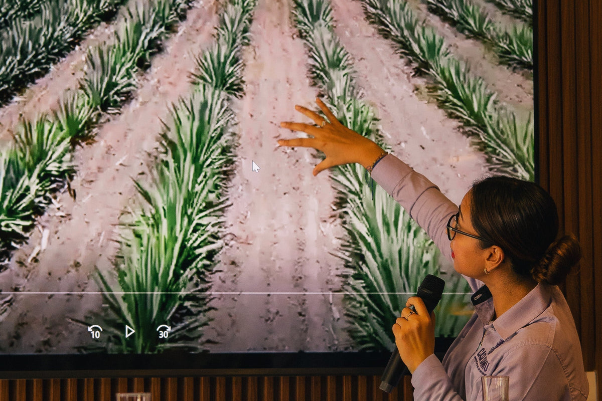 ¿Qué hay detrás del mezcal de Casa Xamu?