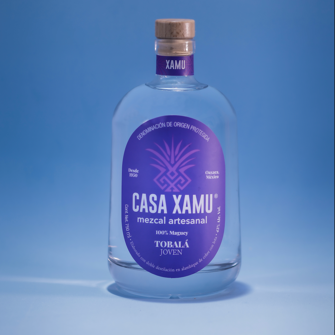 Tobala-joven-casa-xamu-mezcal-oaxaca-chiapas