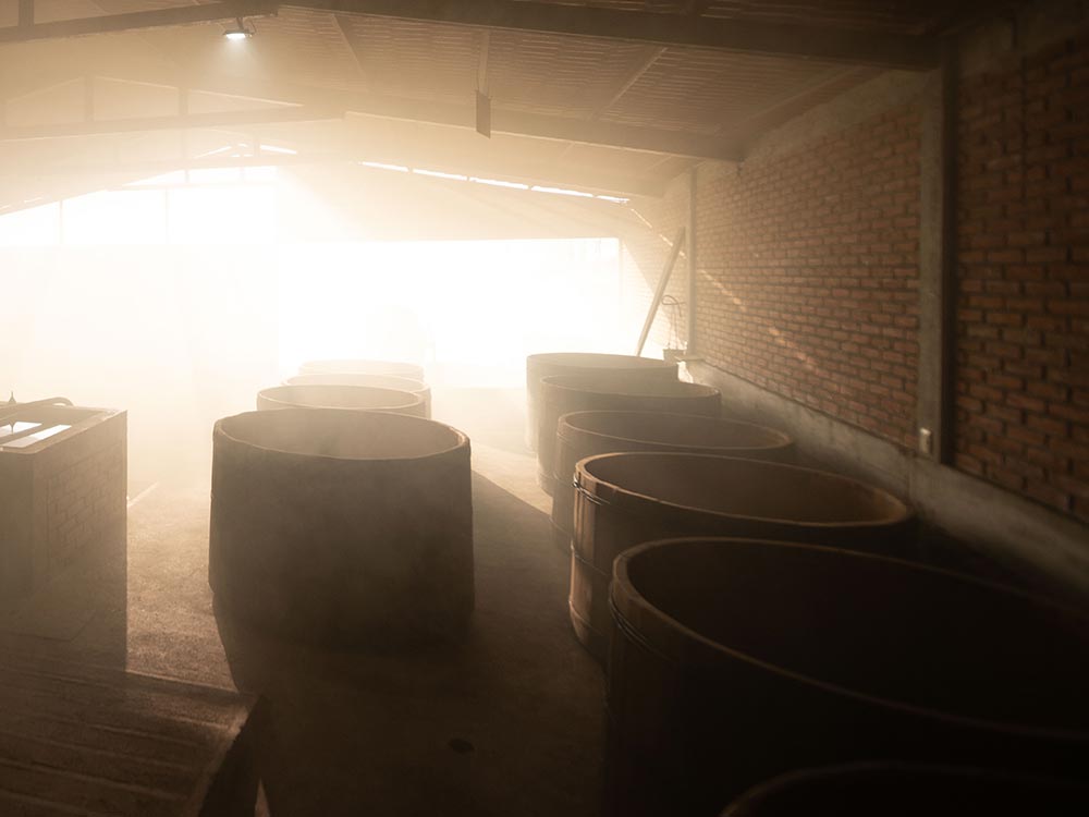 Fermentación natural del maguey en tinas de madera con levaduras silvestres.