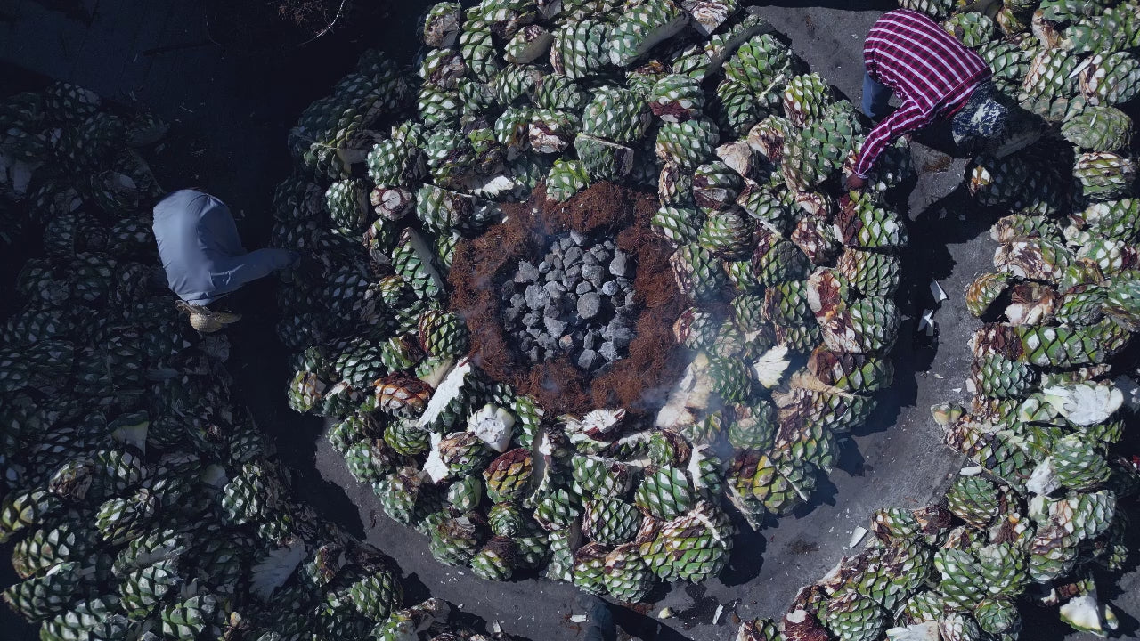 Vista aérea del horno tradicional de cocción mientras trabajadores colocan piñas de maguey, con tomas del paisaje agavero y las instalaciones de Casa Xamu.