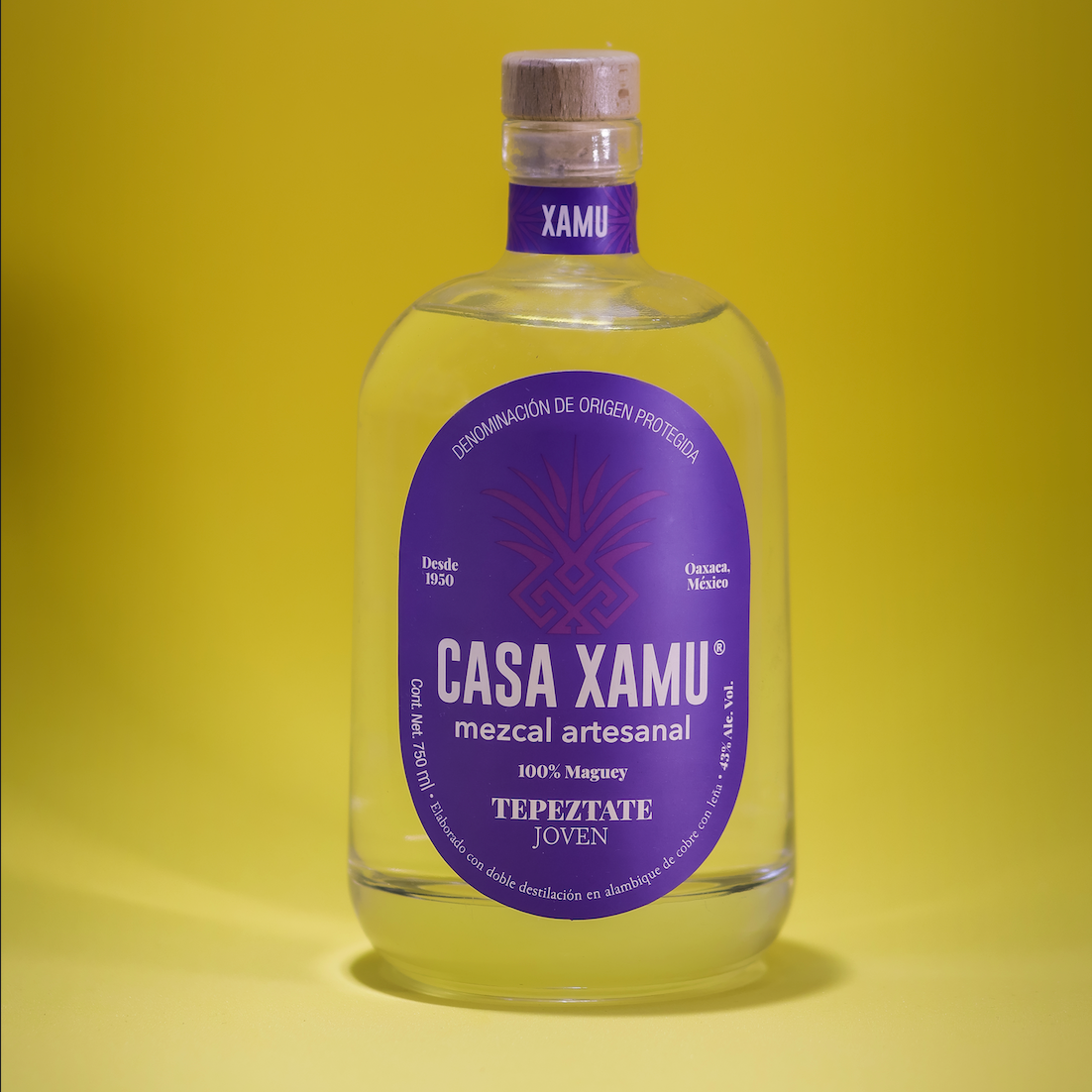 tepeztate-joven-casa-xamu-mezcal-artesanal